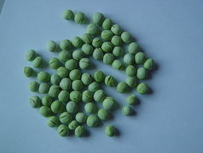 凍干豌豆 自然營養的定格，北綠凍干食品有限公司為您呈現